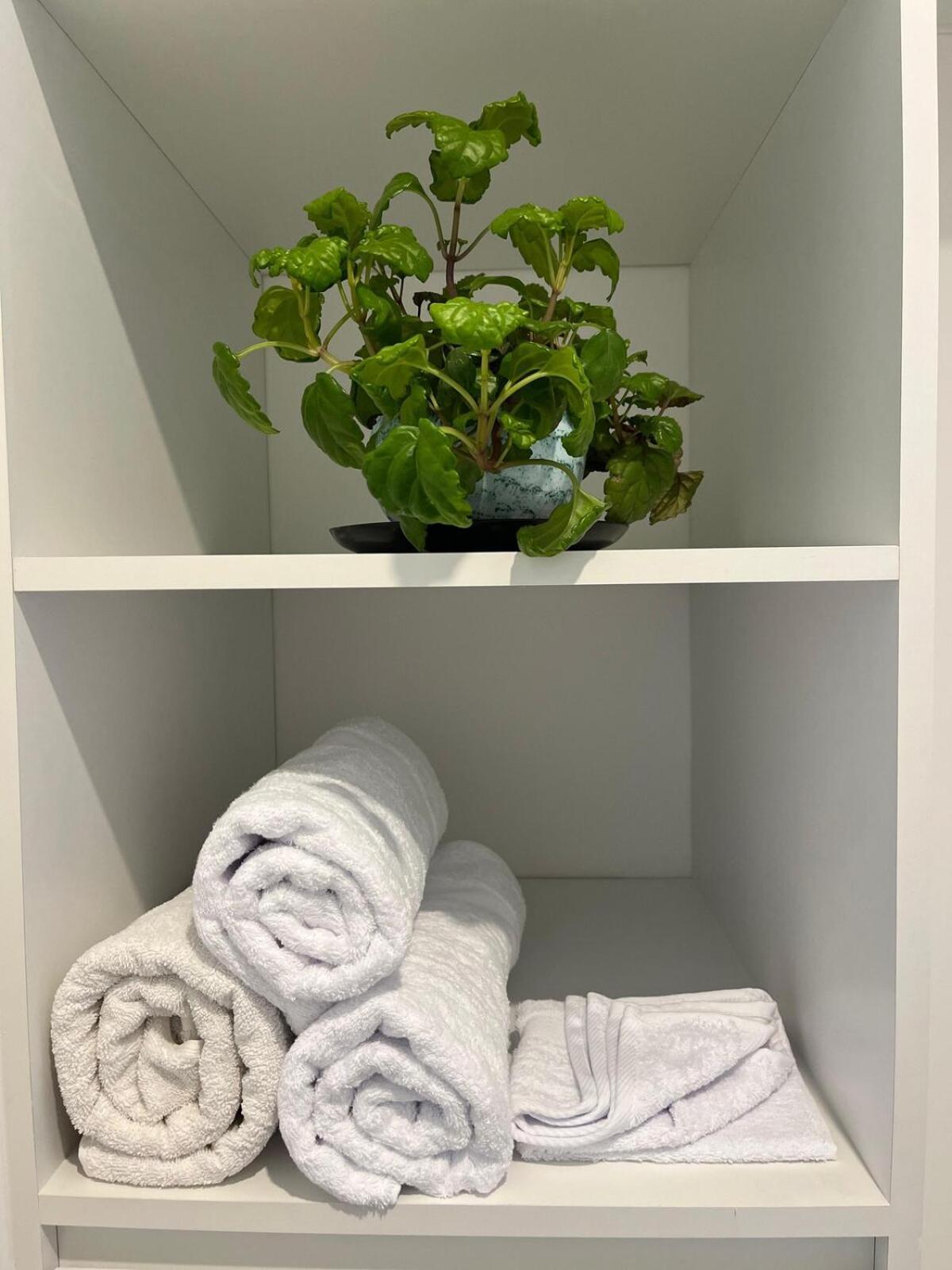 Apartamento Acogedor Cerca Del Centro Histórico *
